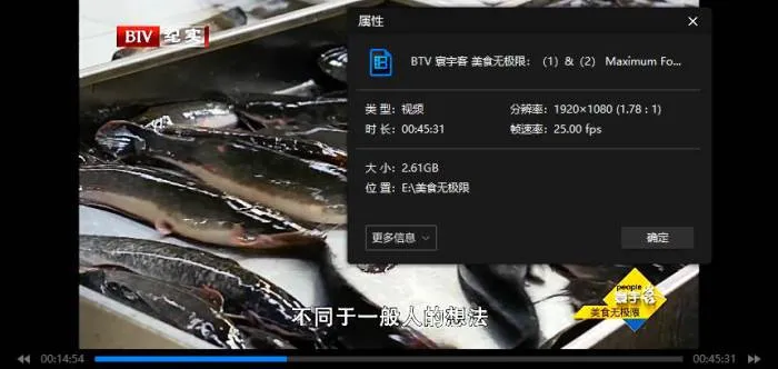 10集国语版