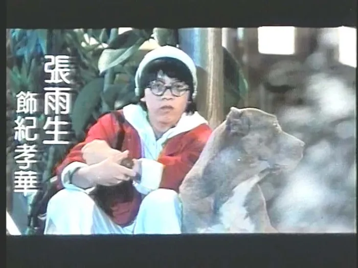 王杰张雨生