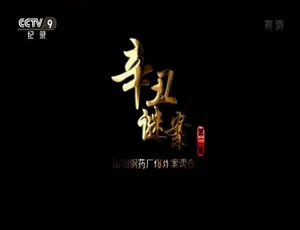 辛丑谜案：汉阳钢药厂爆炸案调查 2集全 国语中字 高清纪录片