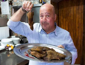 稀奇古怪的食物Bizarre Foods with Andrew Zimmern 第9季全8集 1080P高清 英语外挂字幕-蓝海网