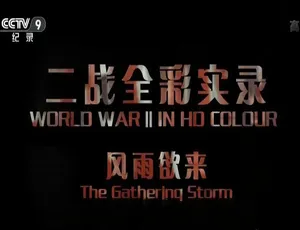 《彩色二战：全彩实录 13集国语中字高清纪录片》-蓝海网