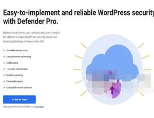 Defender Pro中文版：WordPress安全防火墙插件-蓝海网