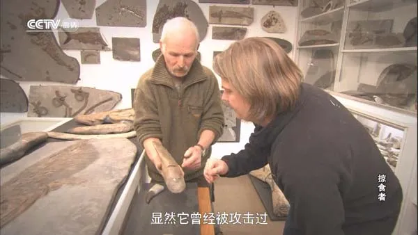 英国纪录片经典