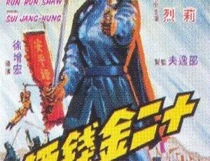 1969香港武侠片十二金钱镖国语中字MKV高清