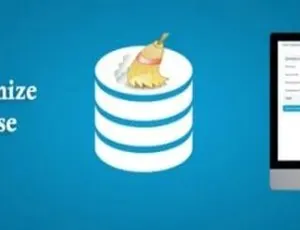 WordPress数据库清理优化加速插件 - Advanced Database Cleaner专业中文版-蓝海网
