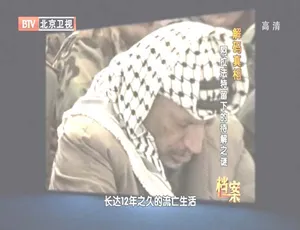 BTV档案2012解码真相：阿拉法特留下的待解之谜 720p HDTV-蓝海网