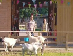 萌宠与我 My Pet and Me 第二季全20集 英语启蒙动画 720P MP3双语字幕