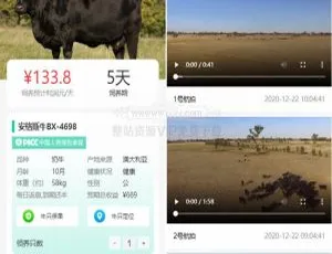 牧场养牛系统：积分商城+大转盘抽奖+会员特权-蓝海网