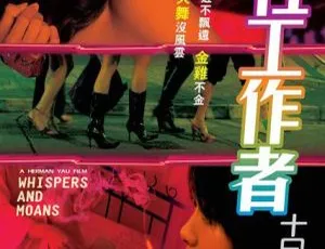 2007香港性工作者十日谈 国粤双语中文字幕-蓝海网