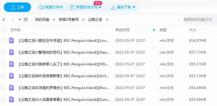 英语中文字幕
