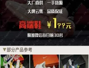 双十一狂欢季莆田鞋工厂特惠竞价推广系统 微信直跳功能-蓝海网