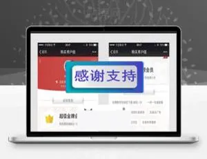 Discuz插件 微信会员购买商业版 即时到账自动开通-蓝海网