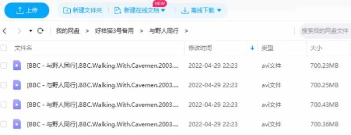 BBC人类进化