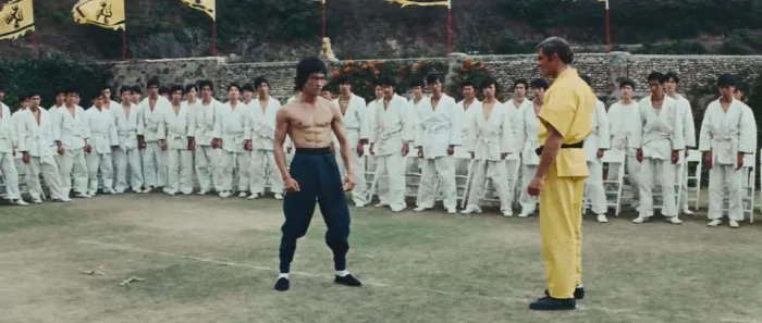1973经典动作电影
