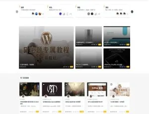 RiPro主题v8.1全新发布：缓存功能修复升级-蓝海网