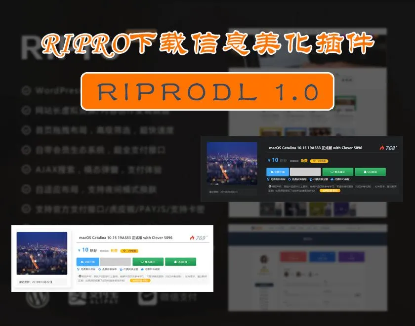 RiPro主题优化