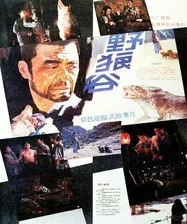生态题材电影