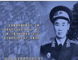 王树声大将纪录片 720P高清 6集全 国语中字
