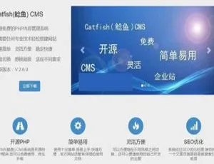 Catfish CMS v5.9.9工程造价招标咨询公司织梦dedecms模板-自适应手机端建站源码
