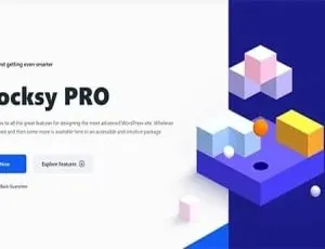 Blocksy Pro主题 - 轻量快速模块化自定义WordPress网站模板-蓝海网