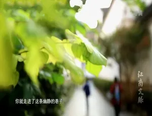 江南文脉诗词篇2018 全50集 国语中字 1080P高清纪录片
