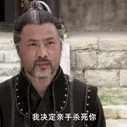 动作武侠电影