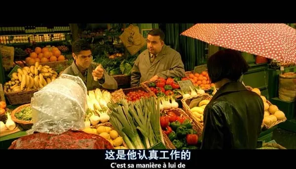 豆瓣高分法国电影