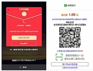 PHP视频打赏系统 fastpay支付接口 全开源无加密