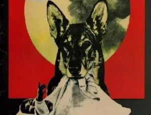 1969 罗马尼亚 加拿大 沉默的朋友 喜剧 国语无字幕