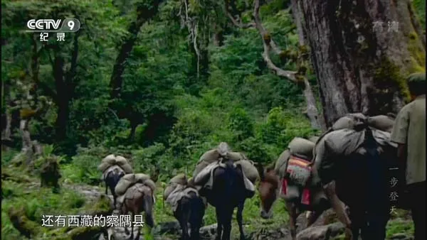 独龙族乡村振兴