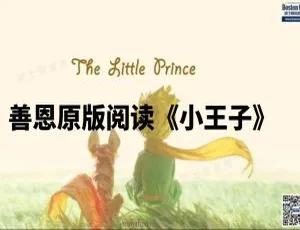 英语动画小王子全集 英文字幕版 26集全