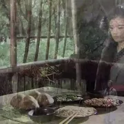 江湖复仇传奇