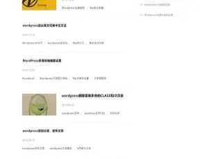 柚子皮新闻媒体博客WordPress主题