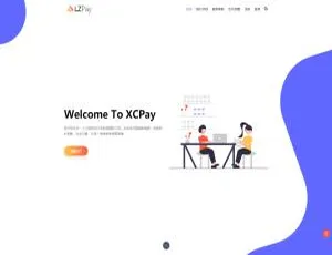 浪子Pay即时到账系统：高效稳定在线支付解决方案