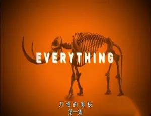 万物的奥秘 全6集 英语中字 720P高清纪录片