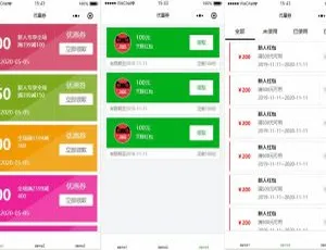 微信小程序优惠券页面模板前端开发源码-蓝海网