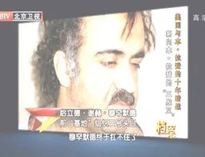 2012 BTV档案 美国与本·拉登的十年暗战：刺向恐怖头目的三股叉 720p-蓝海网