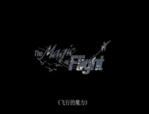 飞行的魔力 1080P/720P高清 英语中字 纪录片全1集-蓝海网