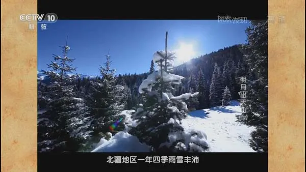 明月出天山纪录片