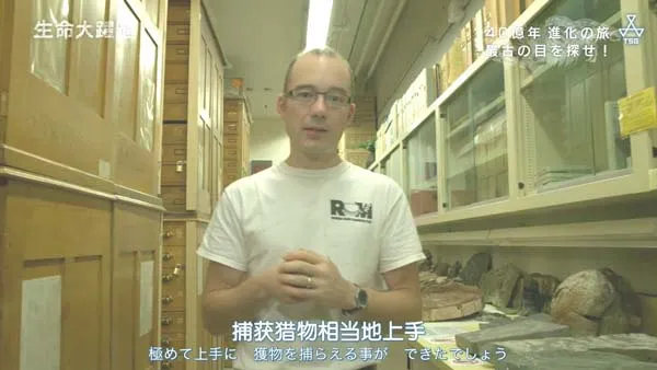 新垣结衣