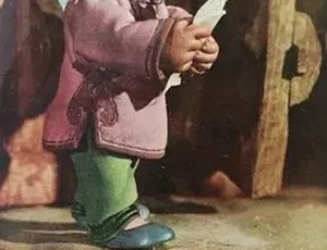 胖嫂回娘家：经典喜剧动画短片·1956年·普通话全1集-蓝海网