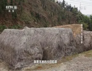 造纸说：纸的故事 1080P高清 国语中字纪录片