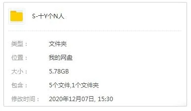 十一个女人11集普清
