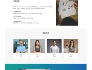 WordPress自适应企业网站模板Start主题 - 响应式多终端适配