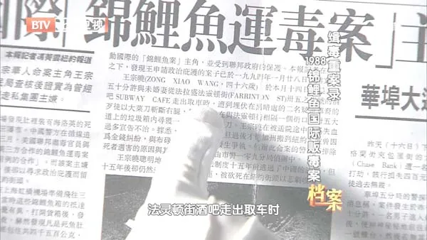 锦鲤鱼藏毒案
