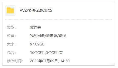 高清英语中字美剧