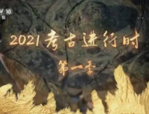 2021考古进行时 第一季全8集 汉语中字 1080i高清纪录片-蓝海网