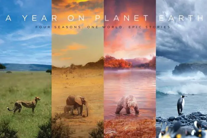A Year on Planet Earth