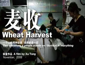 麦收 Wheat Harvest 中国农村纪实高清完整版