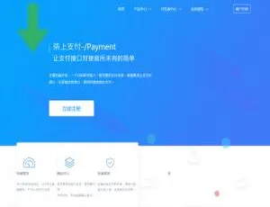 个人免签系统柒上支付：集成多系统+代理功能+安装指南-蓝海网